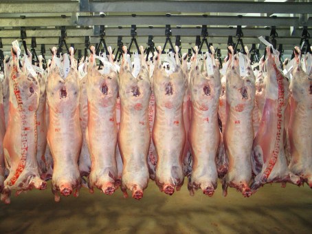 lamb carcase from WA agriculture carcass